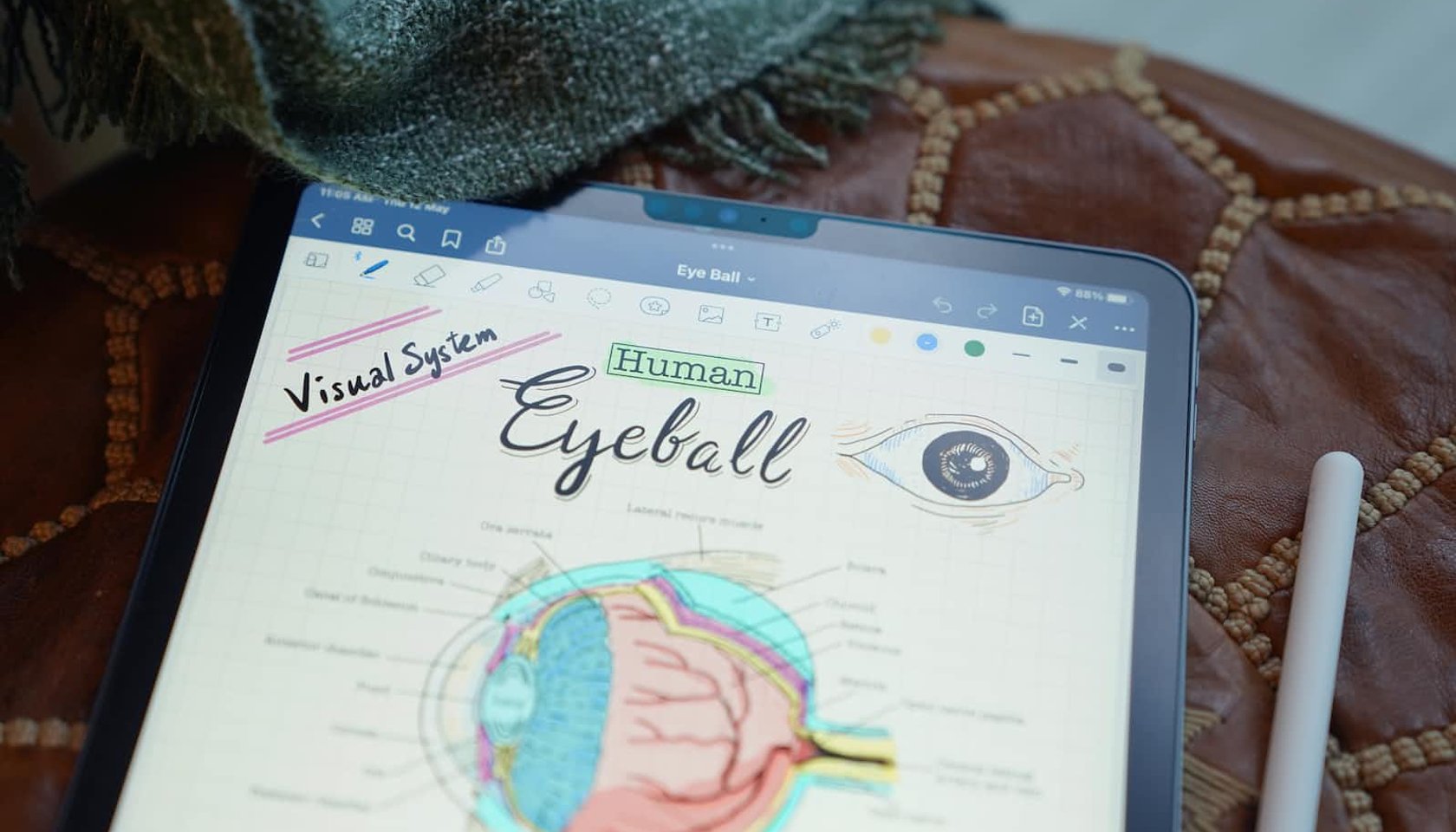 Unlocking Success with Your Second Brain: The Power of a Personal Knowledge Base